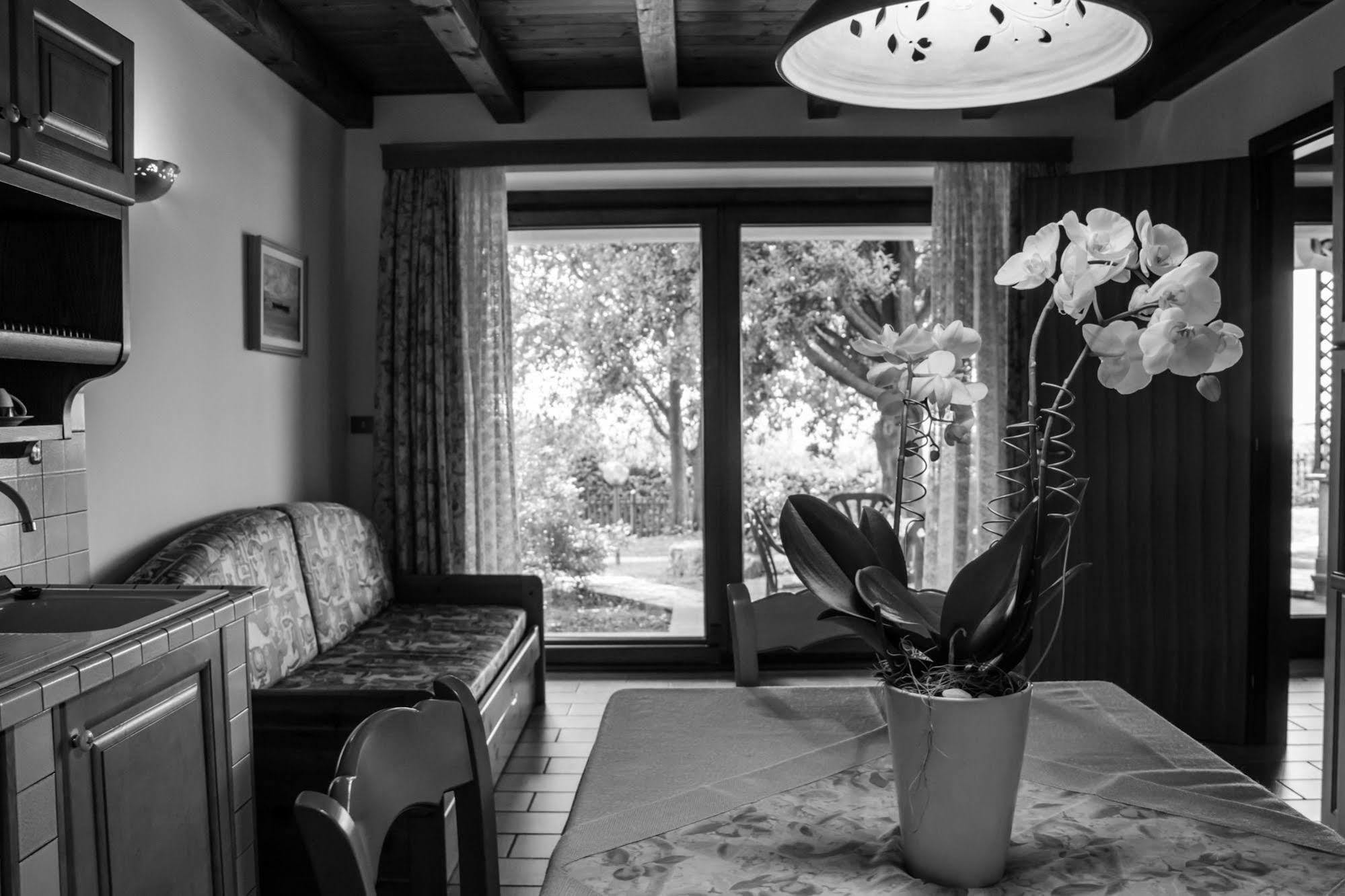 Terra Del Carso Villa San Pelagio Exterior foto